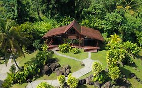 Jardin Malanga